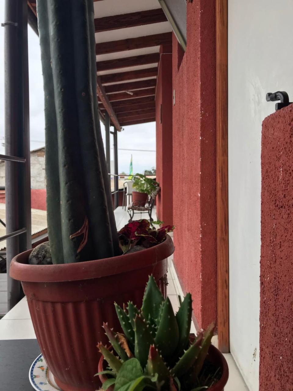 Hostal Avenue La Serena Ngoại thất bức ảnh
